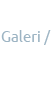 Galeri